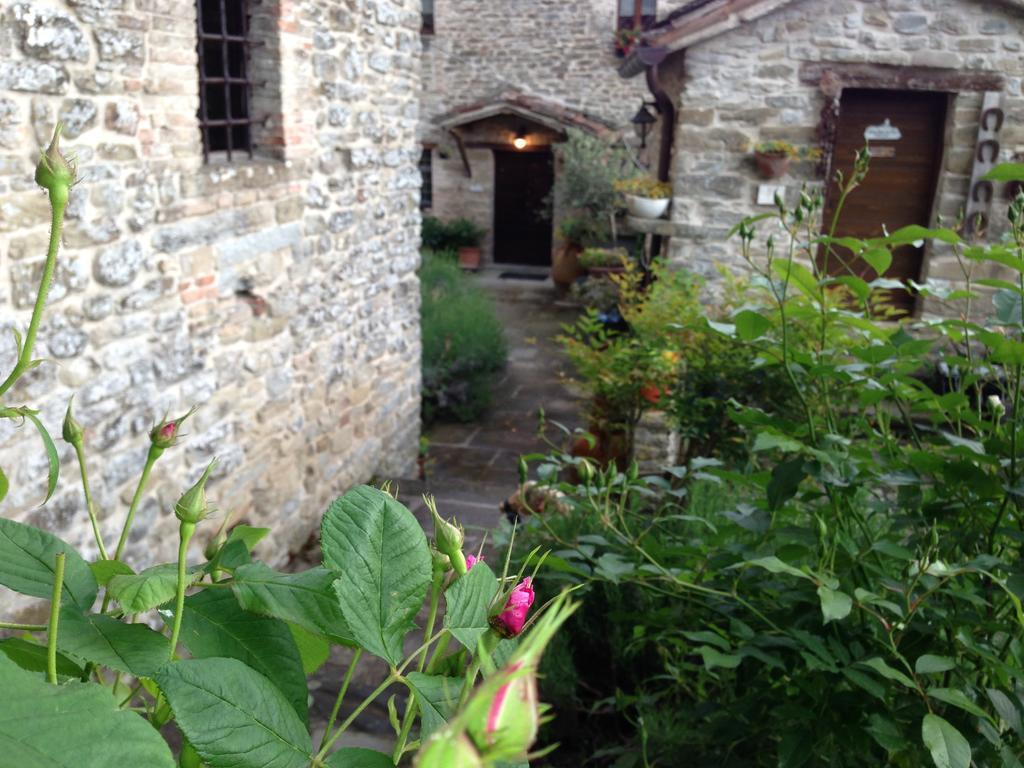 Agriturismo Biologico Castello Della Pieve Mercatello sul Metauro 외부 사진