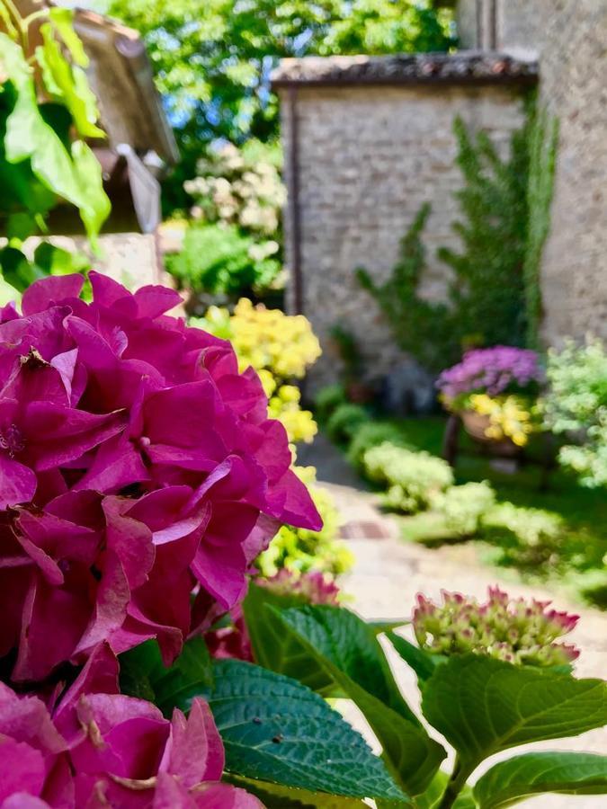 Agriturismo Biologico Castello Della Pieve Mercatello sul Metauro 외부 사진